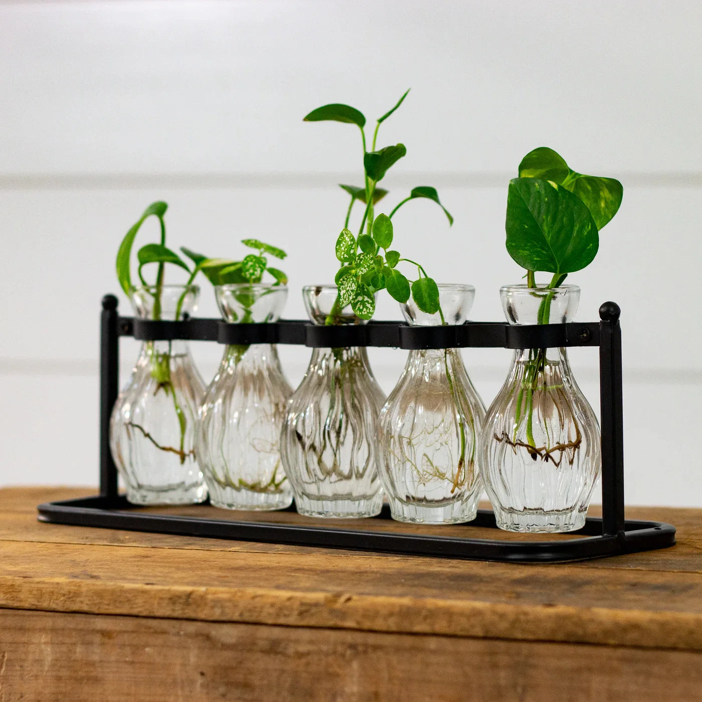 Clustered Hanging Bud Vase with 5 Bottles