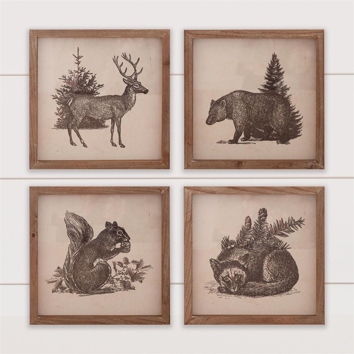 These wood framed animal prints with an antique finish come in 4 variants. These prints include a Buck, Bear, Squirrel and Fox