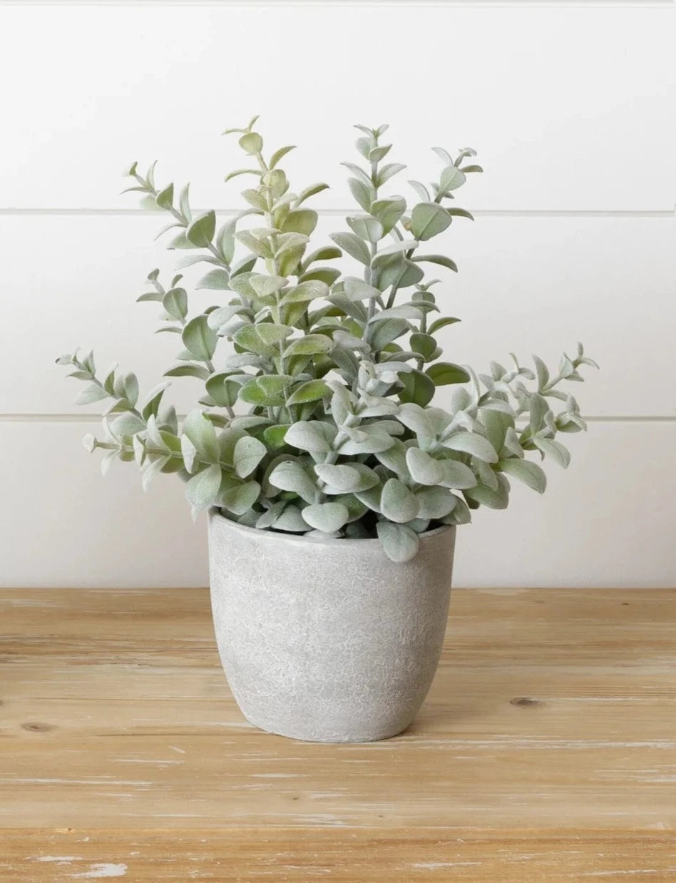 Faux potted Dusty Succulent