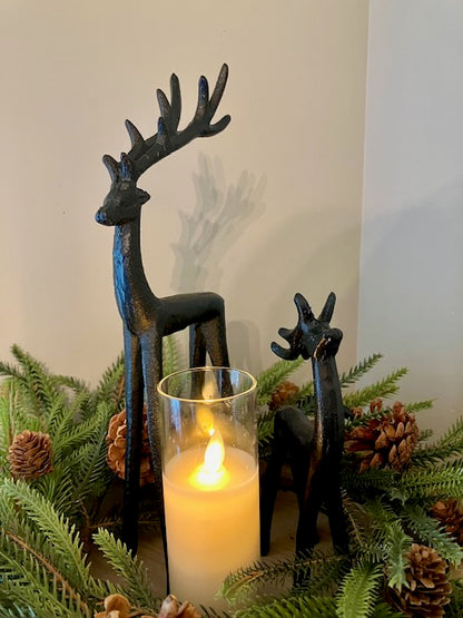 Norfolk Pine Wreath, Candle Ring with Pinecones