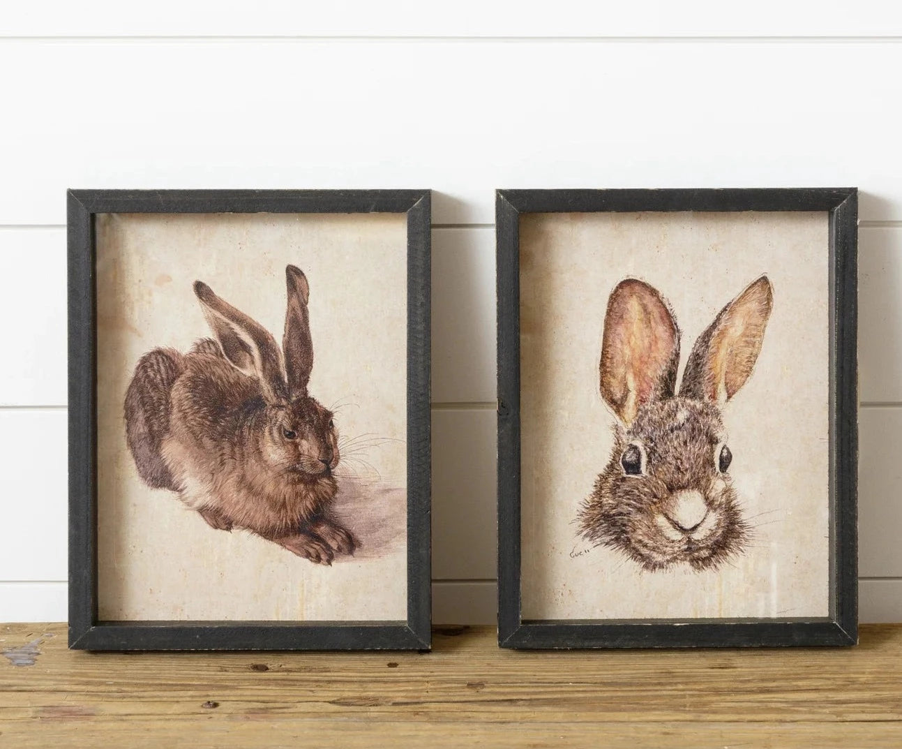 Bunny Framed prints, Set of 2